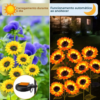 Girassol Solar LED