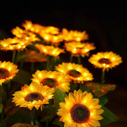 Girassol Solar LED